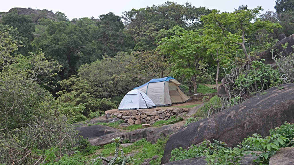 Camping and trekking in Mt Abu